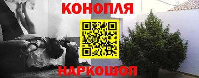 гидропоника Ефремов