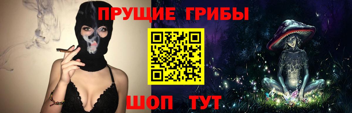 Новосибирск  Галлюциногенные грибы Psilocybe  Вход с VPN 